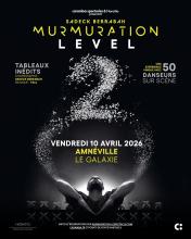 MURMURATION LEVEL 2